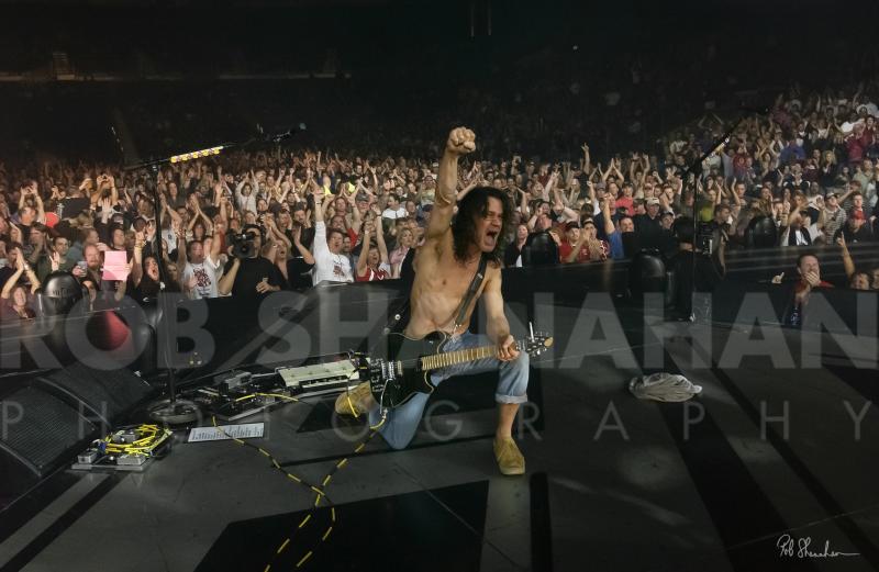Rob Shanahan Eddie Van Halen "Guitar God" Limited Edition Metal Print